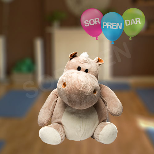 Peluche Adicional adicionales